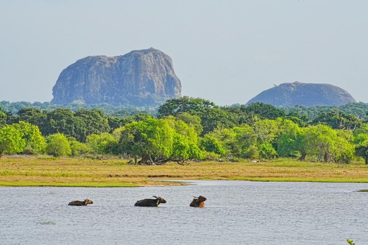 WhatsApp Image 2025-07-31 at 15.58.50 (1).jpeg